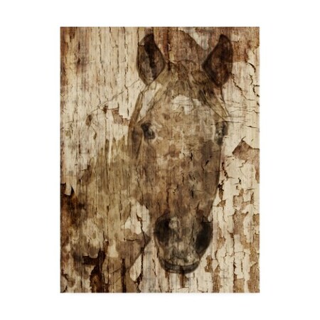 Trademark Fine Art Irena Orlov 'Champagne Horse I' Canvas Art, 18x24 WAG11650-C1824GG